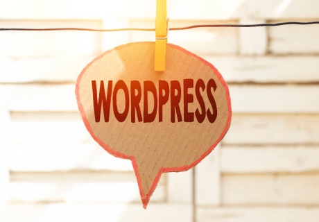 Hanging WordPress sign. In this article, we talk about the common plugins used in WordPress