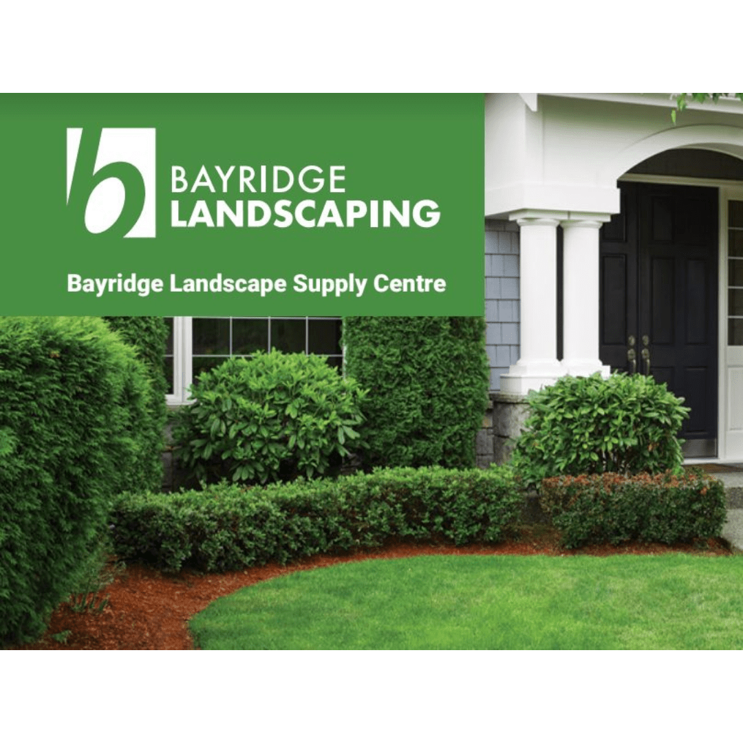 Bayridge brochure 8ff1e823