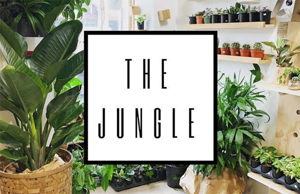 jungle post 1 may 1