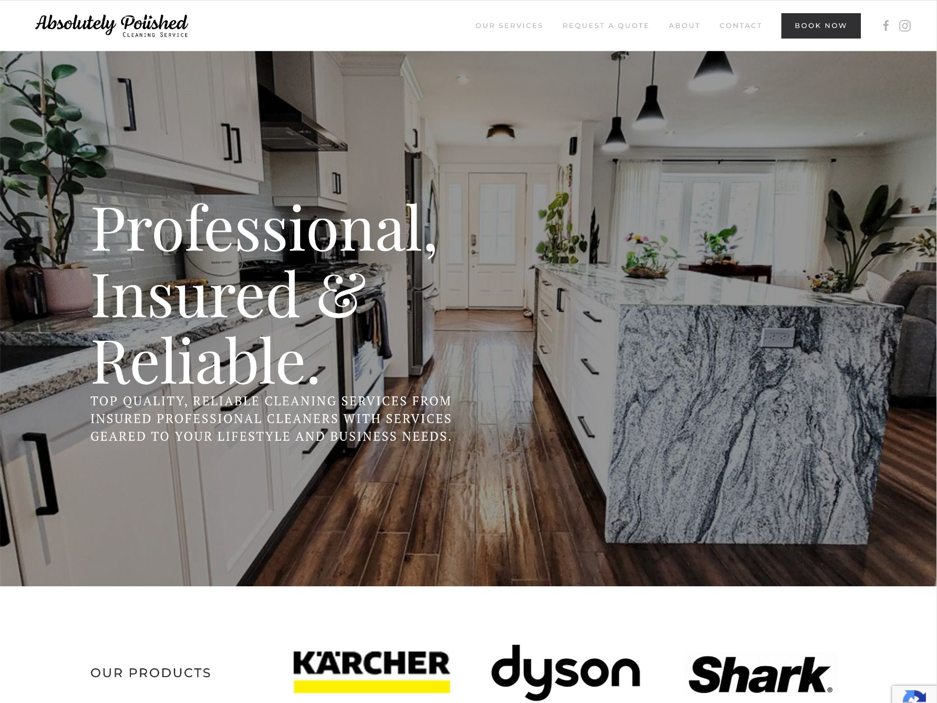 Website Portfolio 16 Absolutely Polished