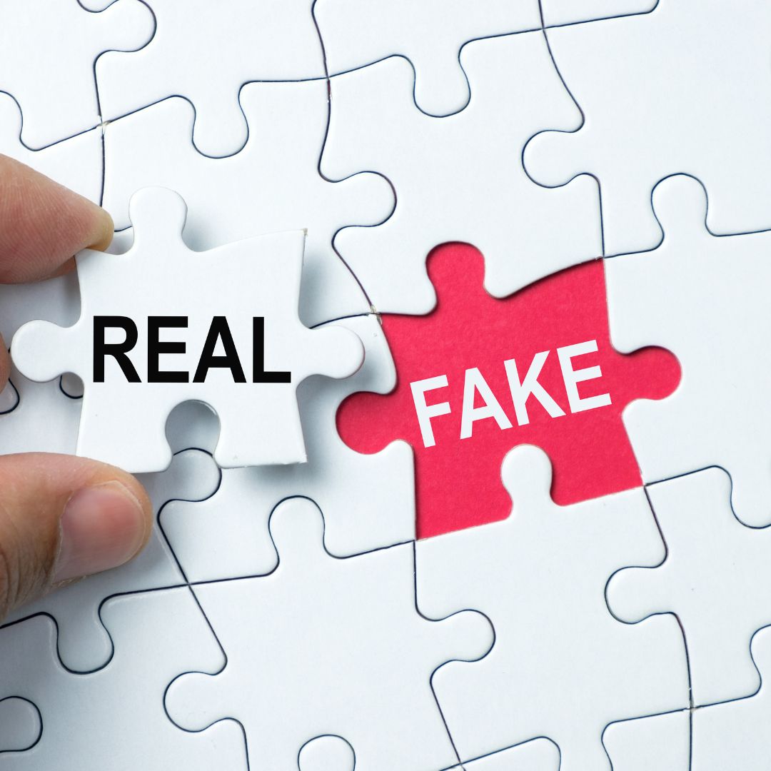 Google My Business Management Service 14 Fake Reviews