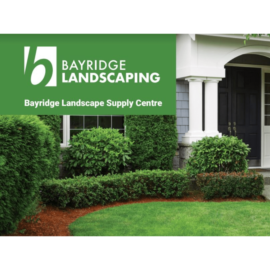 Branding Portfolio 1 Bayridge brochure