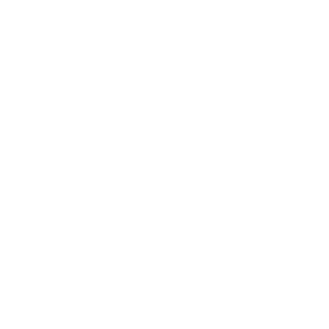 Affordable Web Design Services 14 Chic Logo