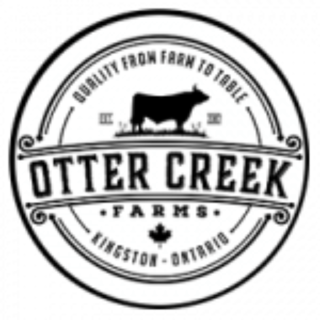 Affordable Web Design Services 16 Otter Creek Logo 1